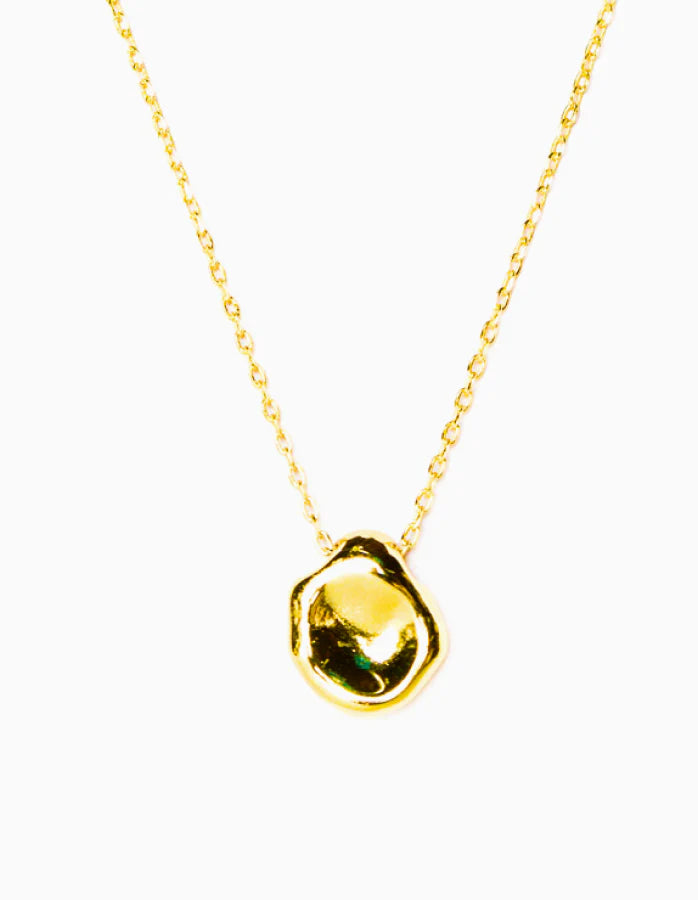 Lost Medallion Necklace